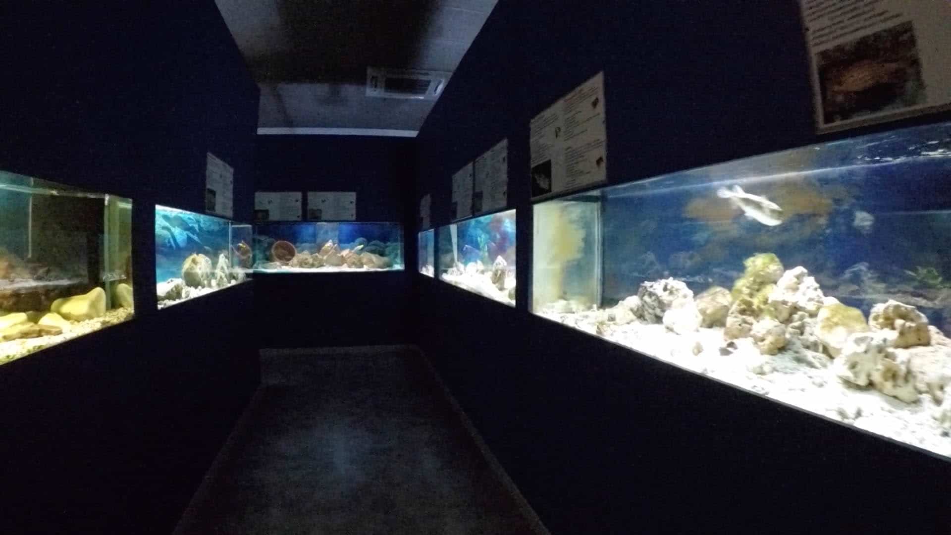 Aquarium Tropicarium Park Jesolo