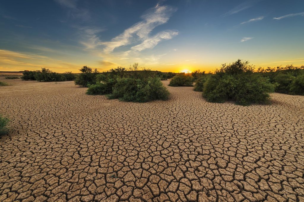 Schwerste Dürre seit 70 Jahren – Katastrophenzustand droht