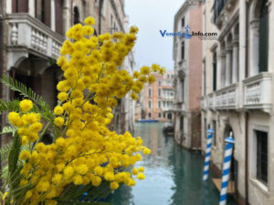 8. März Weltfrauentag Frauentag in Italien 2023
