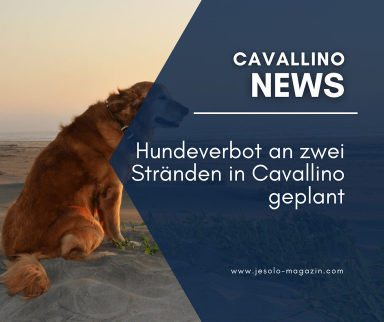 Hundeverbot an zwei Stränden in Cavallino geplant