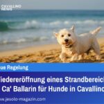 Wiedereröffnung eines Strandbereichs in Ca' Ballarin für Hunde in Cavallino