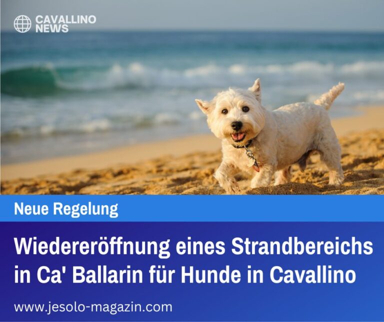 Wiedereröffnung eines Strandbereichs in Ca' Ballarin für Hunde in Cavallino