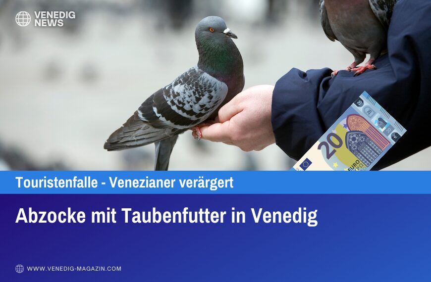 Abzocke mit Taubenfutter in Venedig