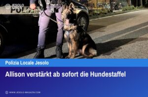 Allison verstärkt ab sofort die Hundestaffel