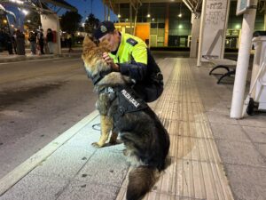 Allison verstärkt ab sofort die Hundestaffel - Bild 2