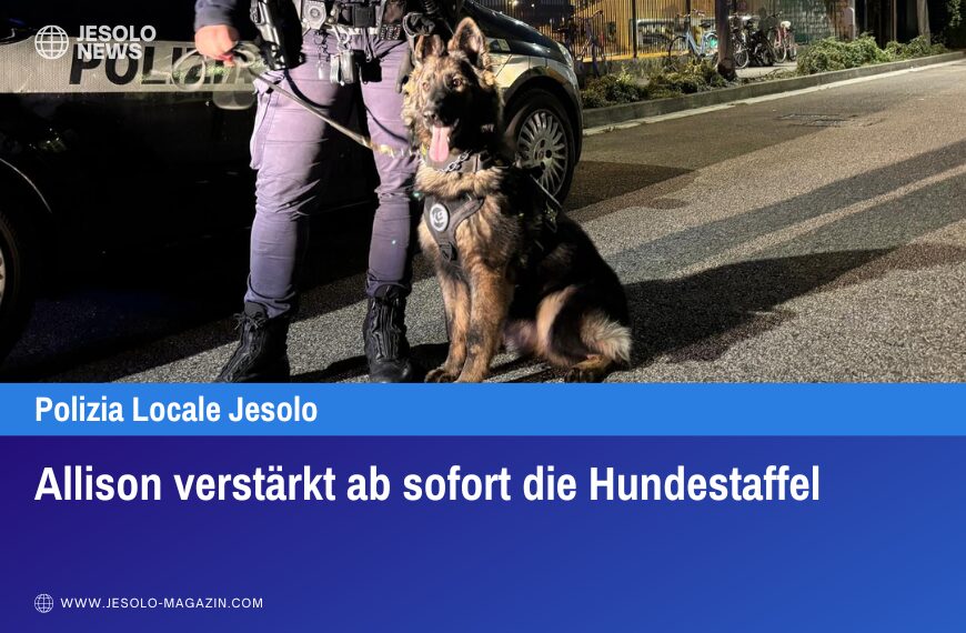 Allison verstärkt ab sofort die Hundestaffel