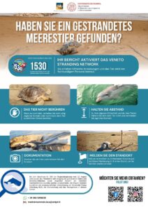 Gestrandete Meerestiere