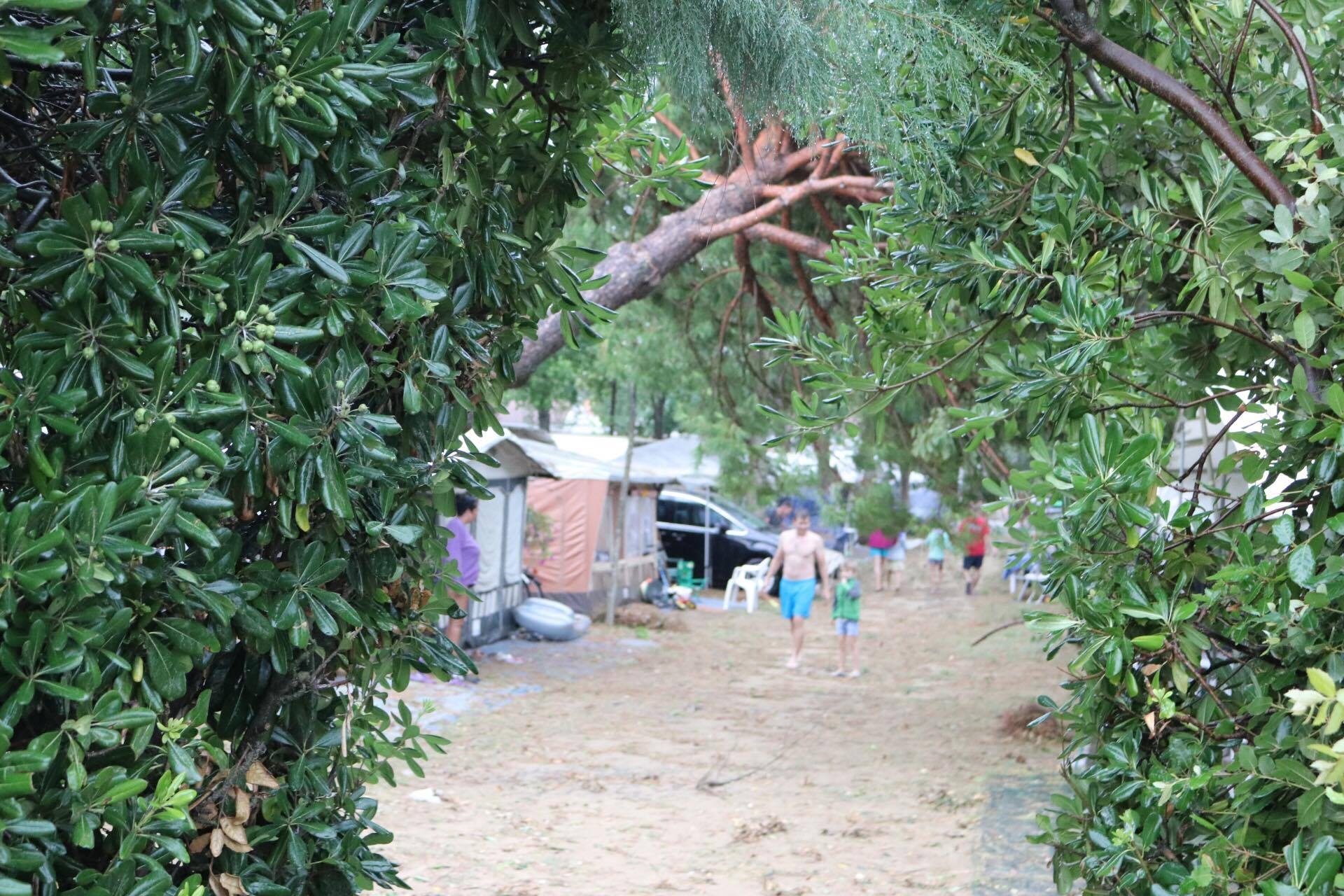 Foto © Jesolo Magazin - Katharina Hartmann (25)